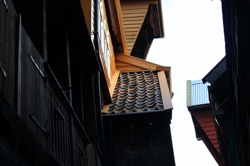 294-Bergen,25 agosto 2011.JPG
